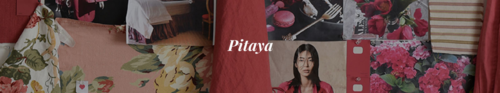 banner com a logo pitaya